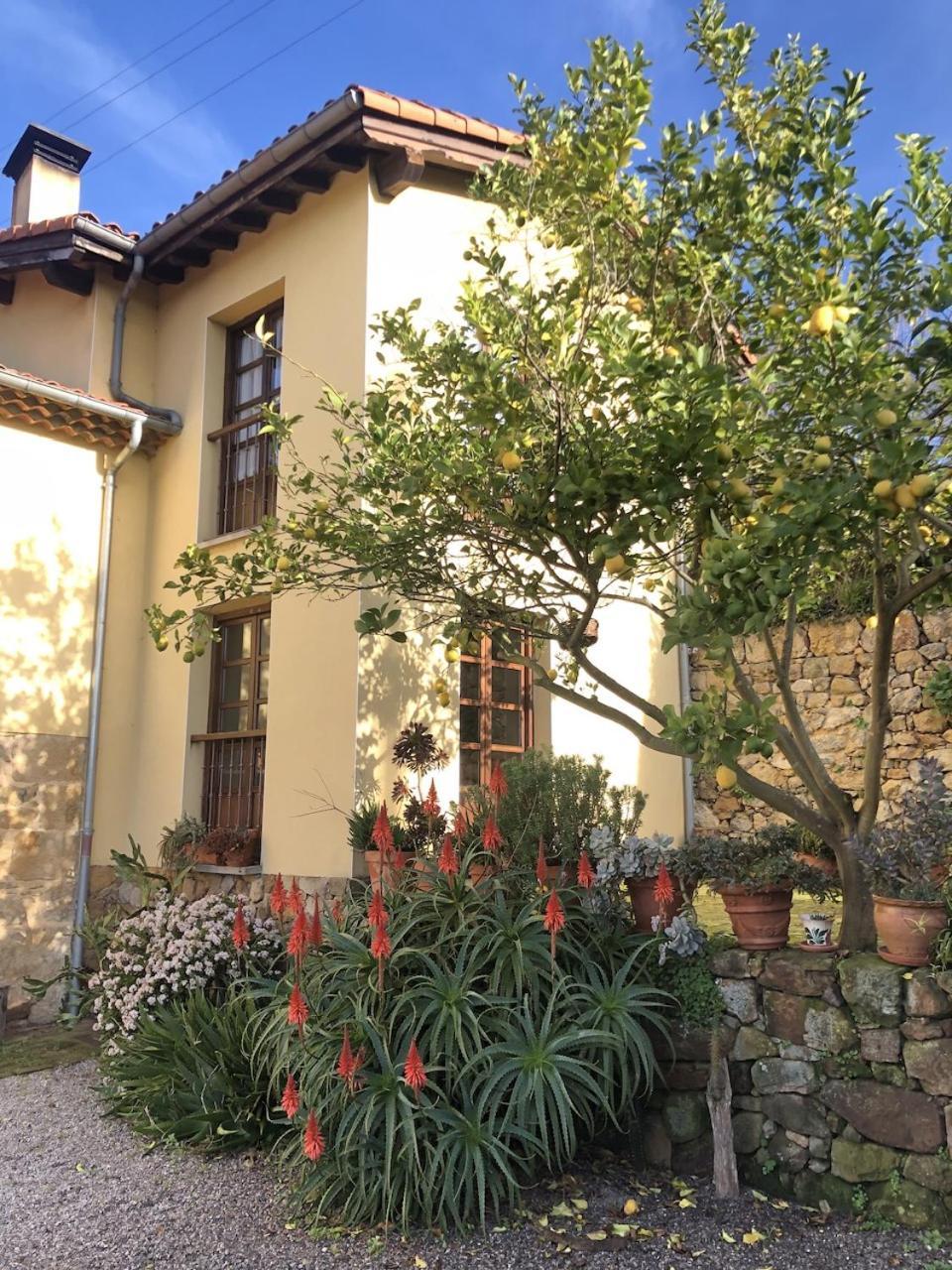 Casa Rural Trebol4Hojas San Pedro  Exterior photo