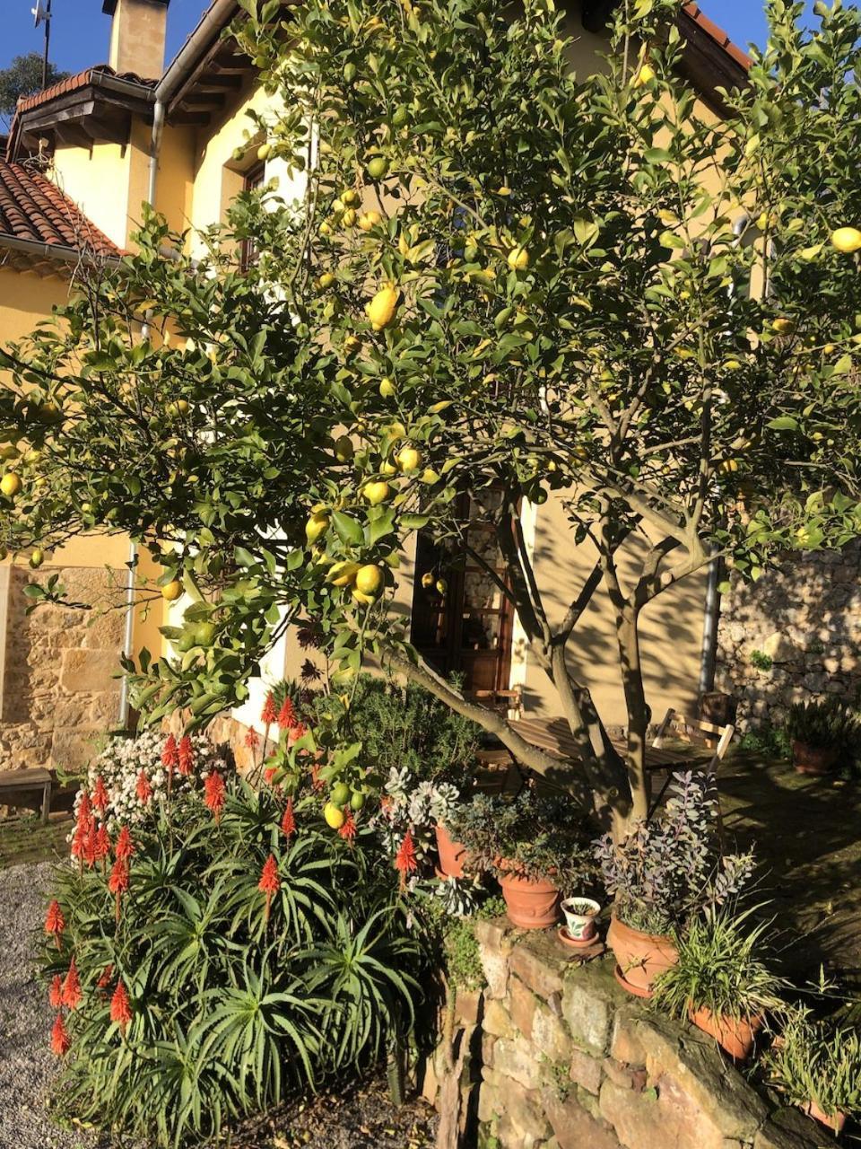 Casa Rural Trebol4Hojas San Pedro  Exterior photo